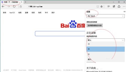 Edge浏览器怎么设置阅读视图字号 Edge阅读视图字号更改教程