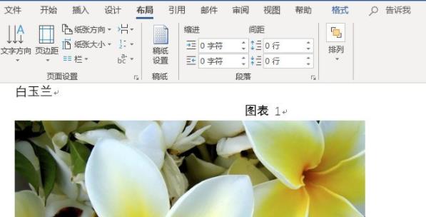 Word设置图片统一大小教程