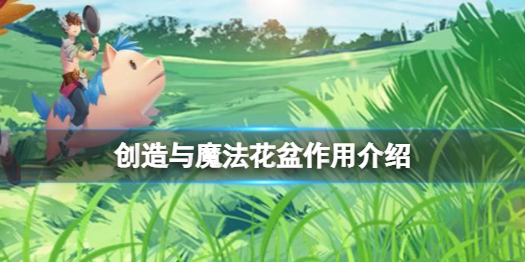 创造与魔法花盆有什么用