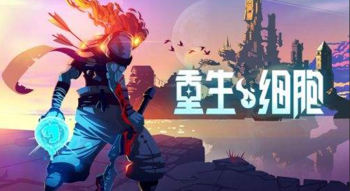 重生细胞王后与海价格介绍