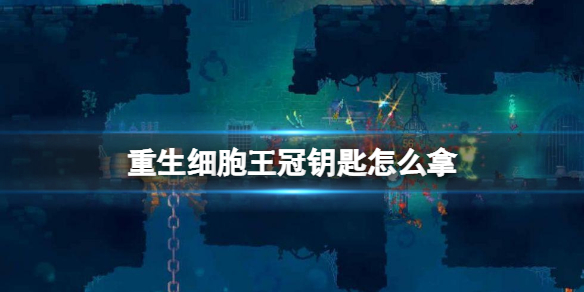 重生细胞王冠钥匙获取攻略