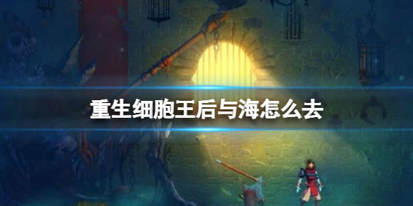 重生细胞王后与海DLC打开攻略