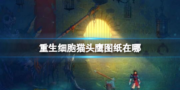 重生细胞猫头鹰图纸获得方法