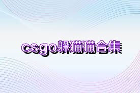 csgo躲猫猫合集