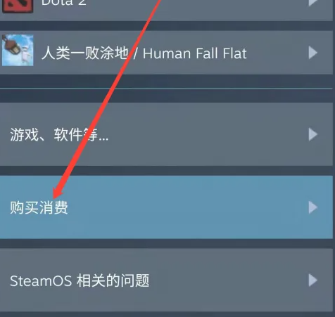 steam移动版购买记录怎么查