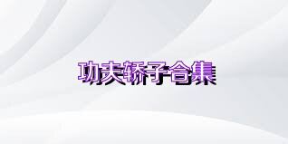 功夫轿子合集