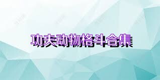 功夫动物格斗合集