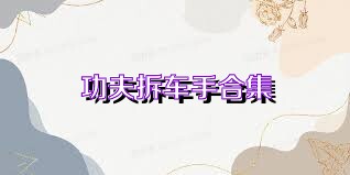 功夫拆车手合集