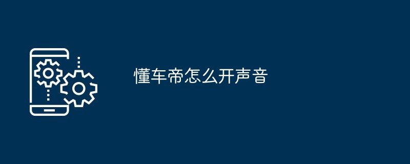 懂车帝开声音教程