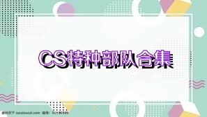CS特种部队合集