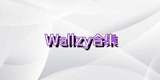 Wallzy合集