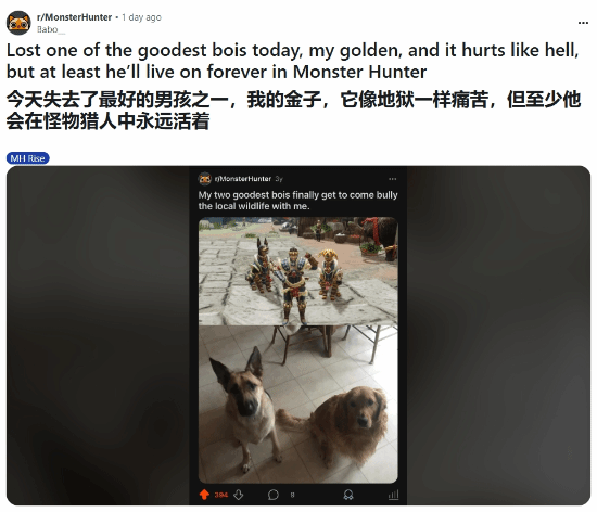 怪物猎人见证深情！玩家以游戏角色纪念爱犬，网友暖心留言传递爱与力量