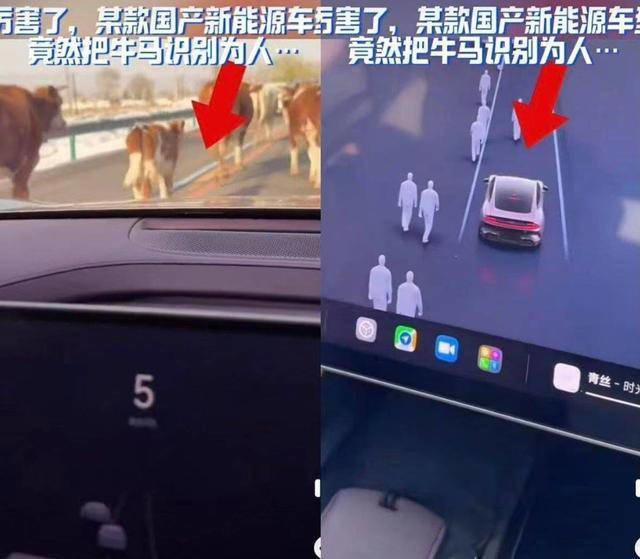 小米SU7闹笑话！智能识别系统误将牛认成人