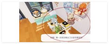 心动小镇：免费食谱小金毛康宝蓝烹饪获取全攻略