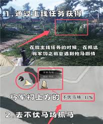 燕云十六声抢马任务攻略：轻松过关技巧详解