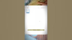 掌握职场绝招！一键批量新建文件夹的高效办公技巧