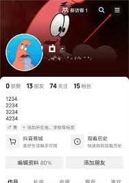 抖音钻石充值后如何轻松退款？快速指南！