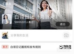 支付宝：如何快速定位并探索热门功能白领日记