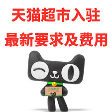 2025年天猫入驻条件及费用全解析