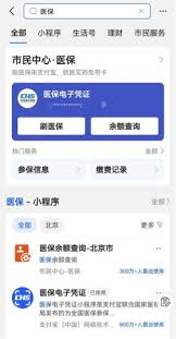 支付宝查询社保个人缴费记录教程：轻松掌握查询方法领先指南