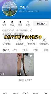 抖音播放量持续为零的原因及解决方法