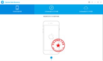 2024年iPhone激活错误一键修复指南：快速解决激活难题！