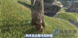 雾锁王国树脂获取攻略：高效砍树方法与掉落概率详解