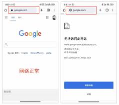 谷歌商店信息核对问题？一键解决技巧，提升你的下载体验！