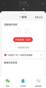 网易云音乐设置一起听偏好方法