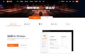 向日葵远程控制软件：一键掌控，高效抓人眼球的远程操作利器！