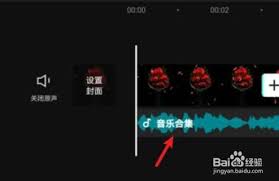 剪映教程：轻松掌握音乐音量调节技巧，打造震撼视听作品！