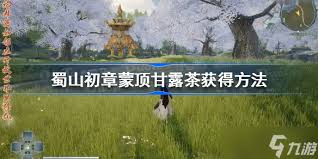 蜀山初章蒙顶甘露茶高效获取方法，独家攻略领先分享