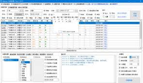 春节返乡秘籍：高效抢票攻略，助你轻松回家过年！
