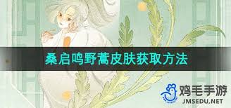 王者荣耀桑启鸣野蒿传说皮肤领取全攻略