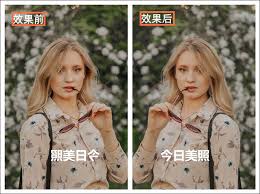 一键镜像翻转图片，打造独特视觉盛宴，点击解锁新创意！
