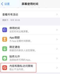 解锁苹果隐藏功能：一键设置访问限制，专属用户体验等你探索！