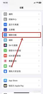 苹果手机黑白屏恢复色彩设置指南