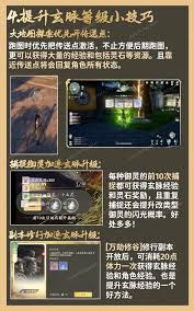 仙剑世界新手必备：全方位开荒攻略，助你称霸仙侠江湖！