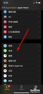 苹果手机用户必看：一键关闭来电振动，轻松掌握静音新技巧！