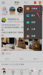 微博吸睛技巧：如何发布九宫格美图搭配精彩文字，瞬间抓住眼球！