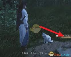 燕云十六声将军祠探索：寻觅隐藏的猫咪踪迹