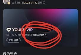 掌握技巧：一键取消优酷会员自动续费，轻松管理你的订阅！