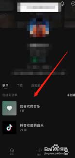 汽水音乐APP隐藏喜好音乐教程