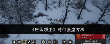 庄园领主智斗强盗：高效防御策略，守护领地安全秘籍！