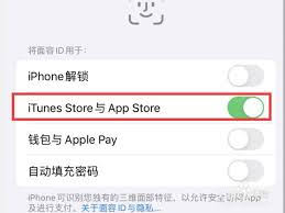 一键开启iPhone软件下载面容识别，轻松升级您的智能体验！