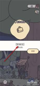 获取橡子屋野餐垫的实用指南