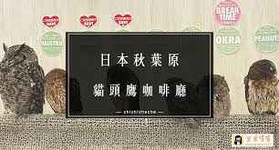 探索生动有趣的吱吱喳喳网站，精彩内容等你发现！