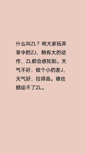 LZLL：背后隐藏的独特含义与惊人发现