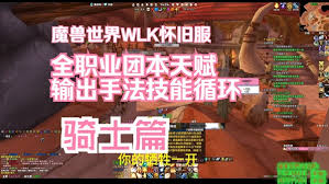 魔兽世界WLK惩戒骑高效输出手法全解析