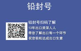 箱号与铅封号的改编应用及其重要性解析